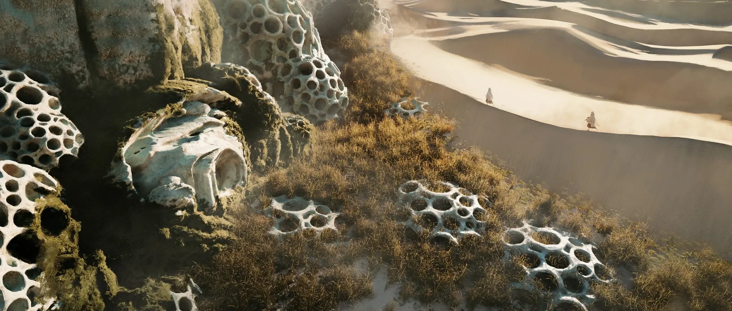 An aerial view of honeycomb ruins meeting open desert dunes